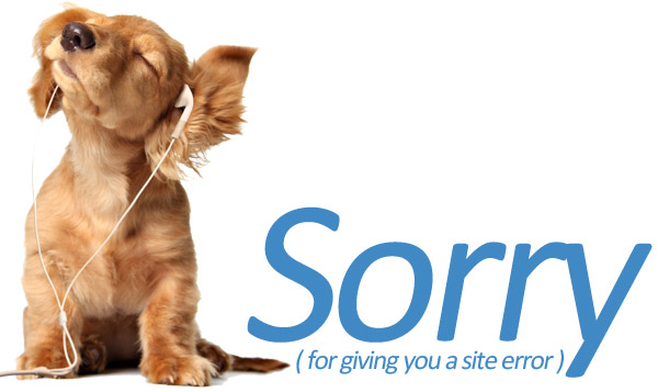 404 Error
